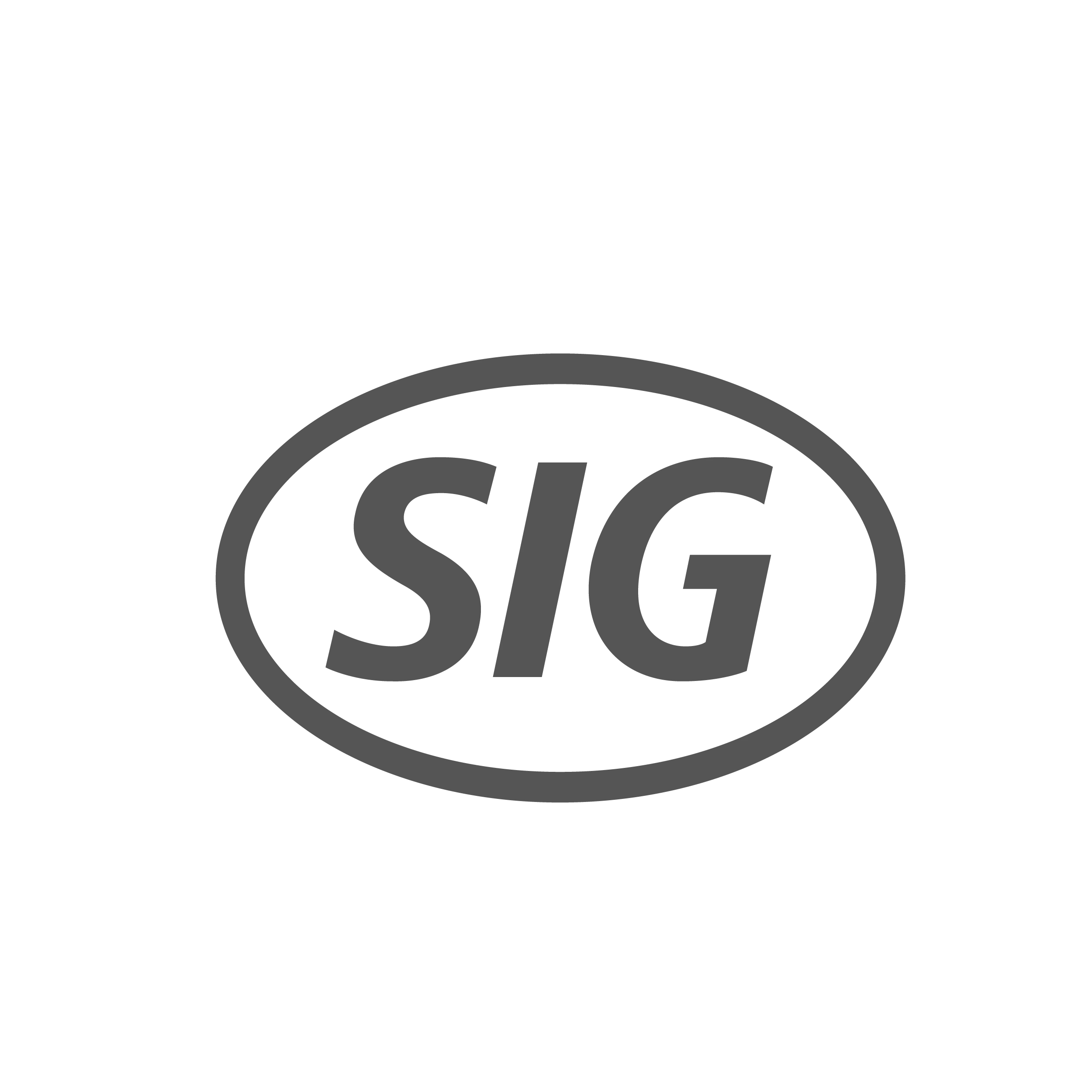 SIG Holding