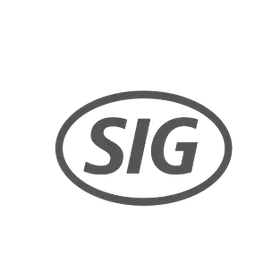 SIG Holding