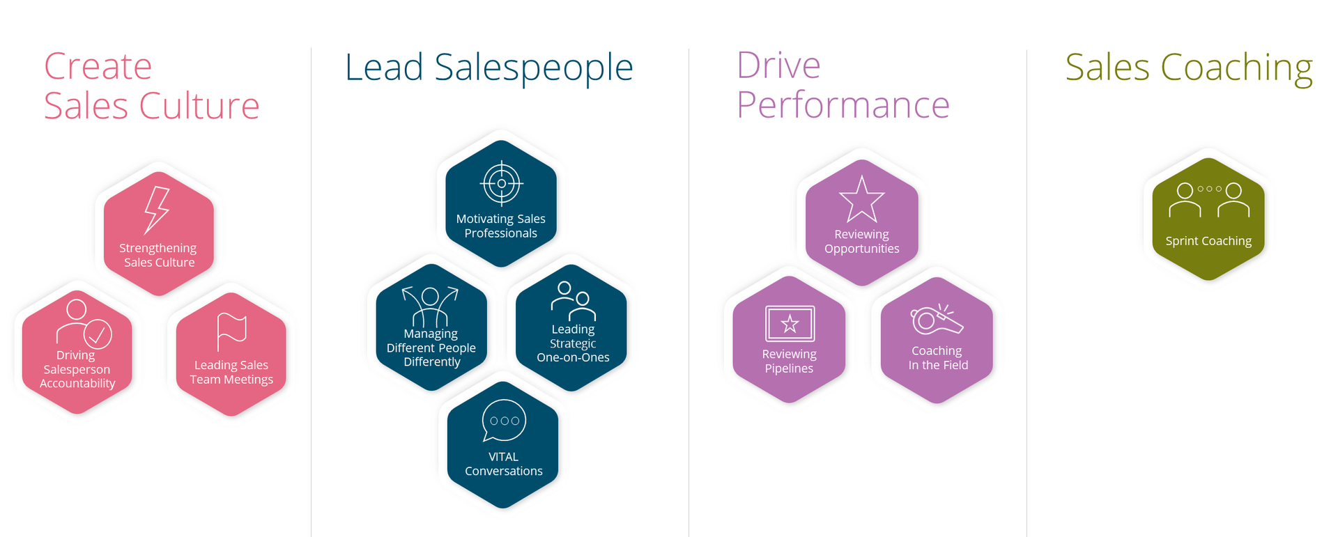 grid showing the training content that makes up Richardson's sales management curriculum. The categories include content focused on building sales culture, leading sales people, driving performance, and coaching.