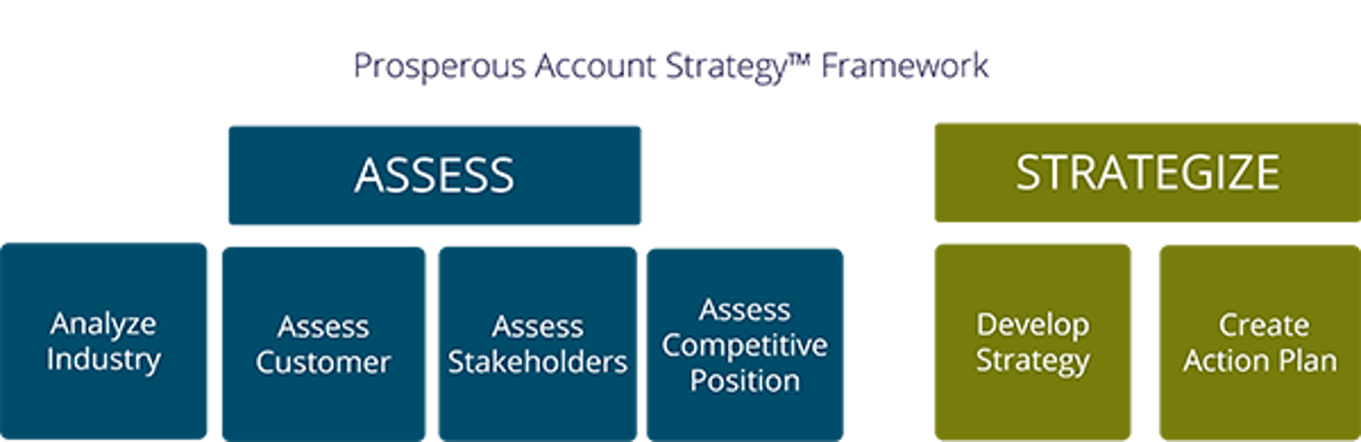 prosperous account strategy training program framework: assess modules are analyze industry, assess customer, asses stakeholders, assess competitive position. strategize modules; develop strategy, create action plan