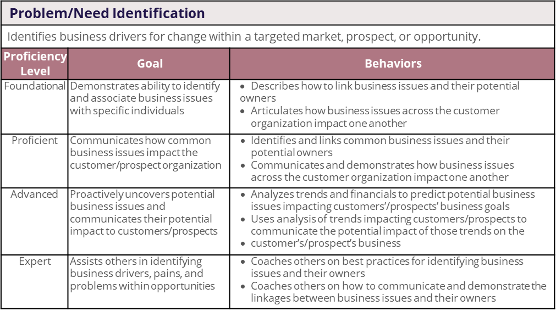 sales competency framework example