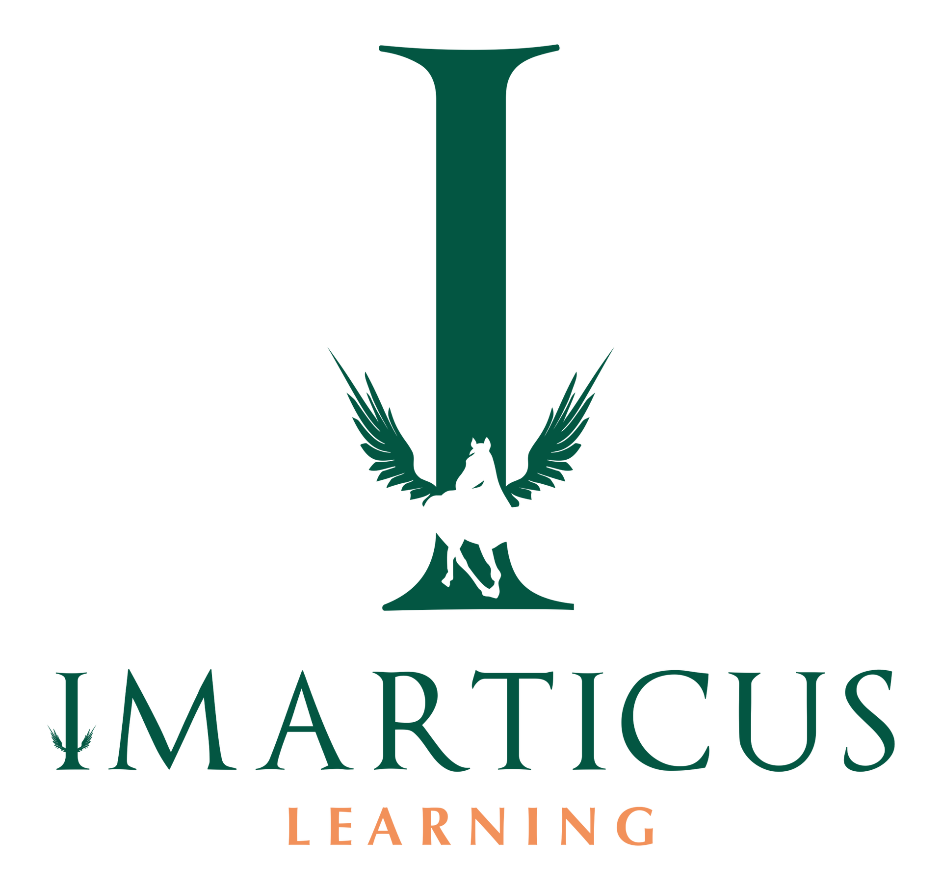 Imarticus-Logo.png