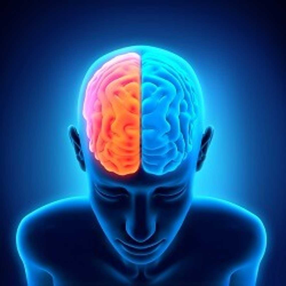 neuroscience of sales anchoring effect
