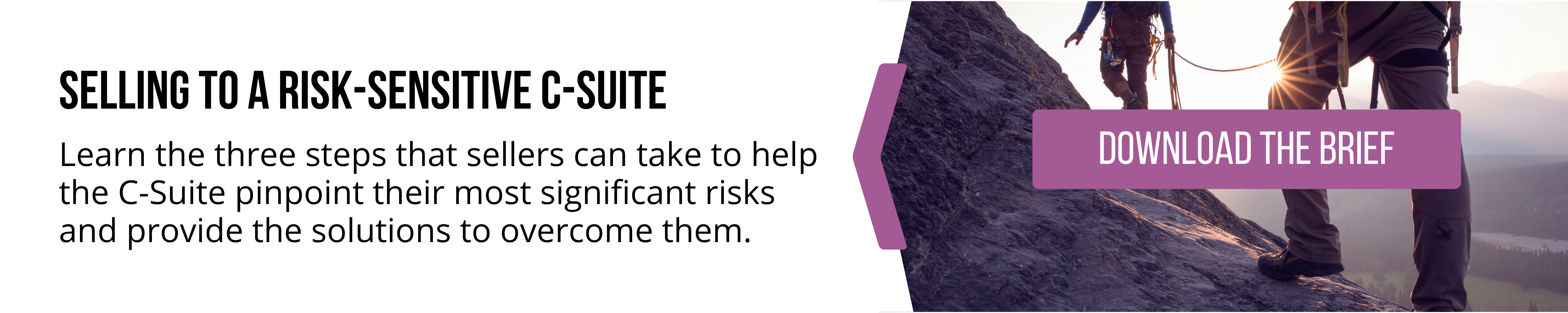 CTA-Selling_to_a_Risk-Sensitive_C-Suite.png