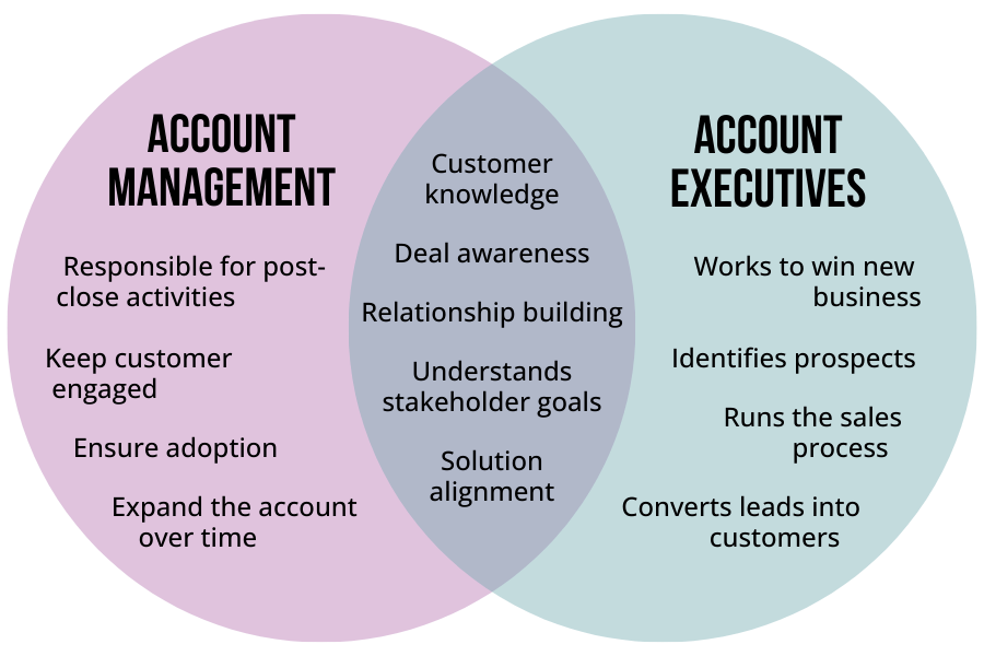 account_management_vs_sales_diagram.png
