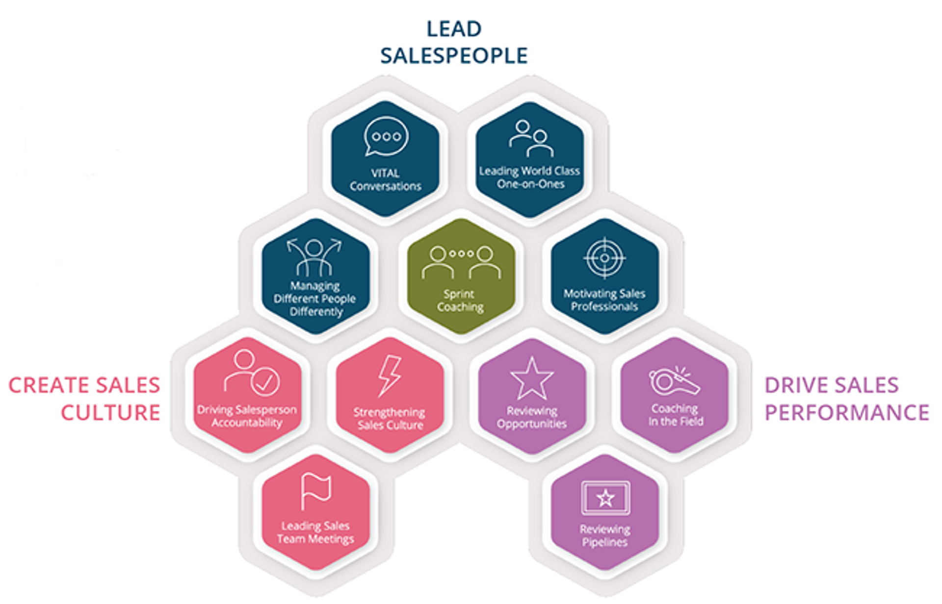 model showing the 11 sales manager capabilities bucketed into the 3 high level categories of sales management