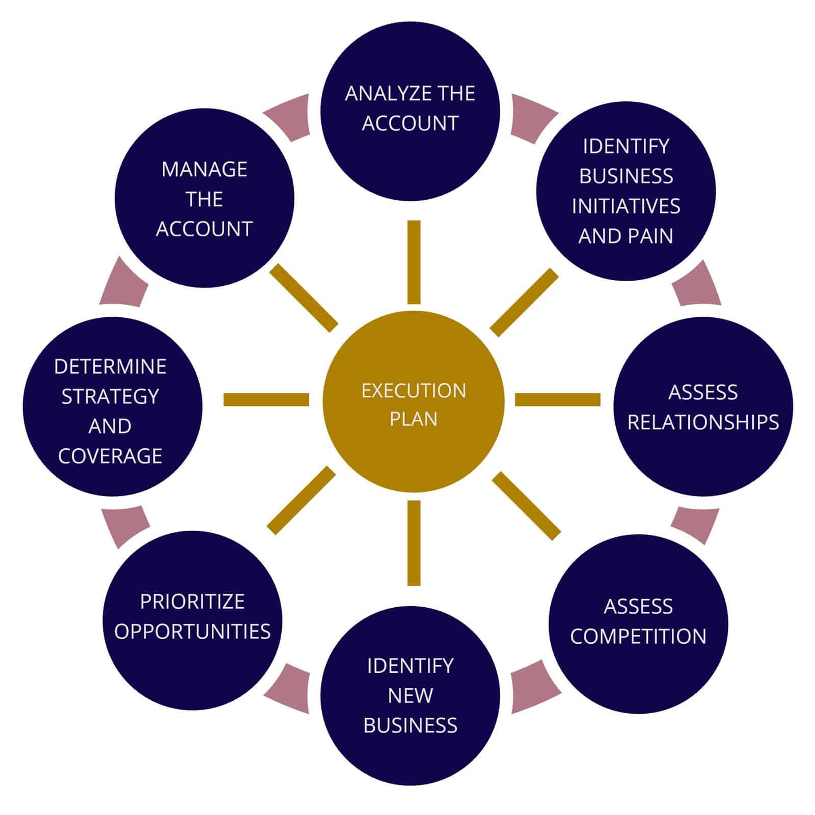 Strategic Account Planning Methodology