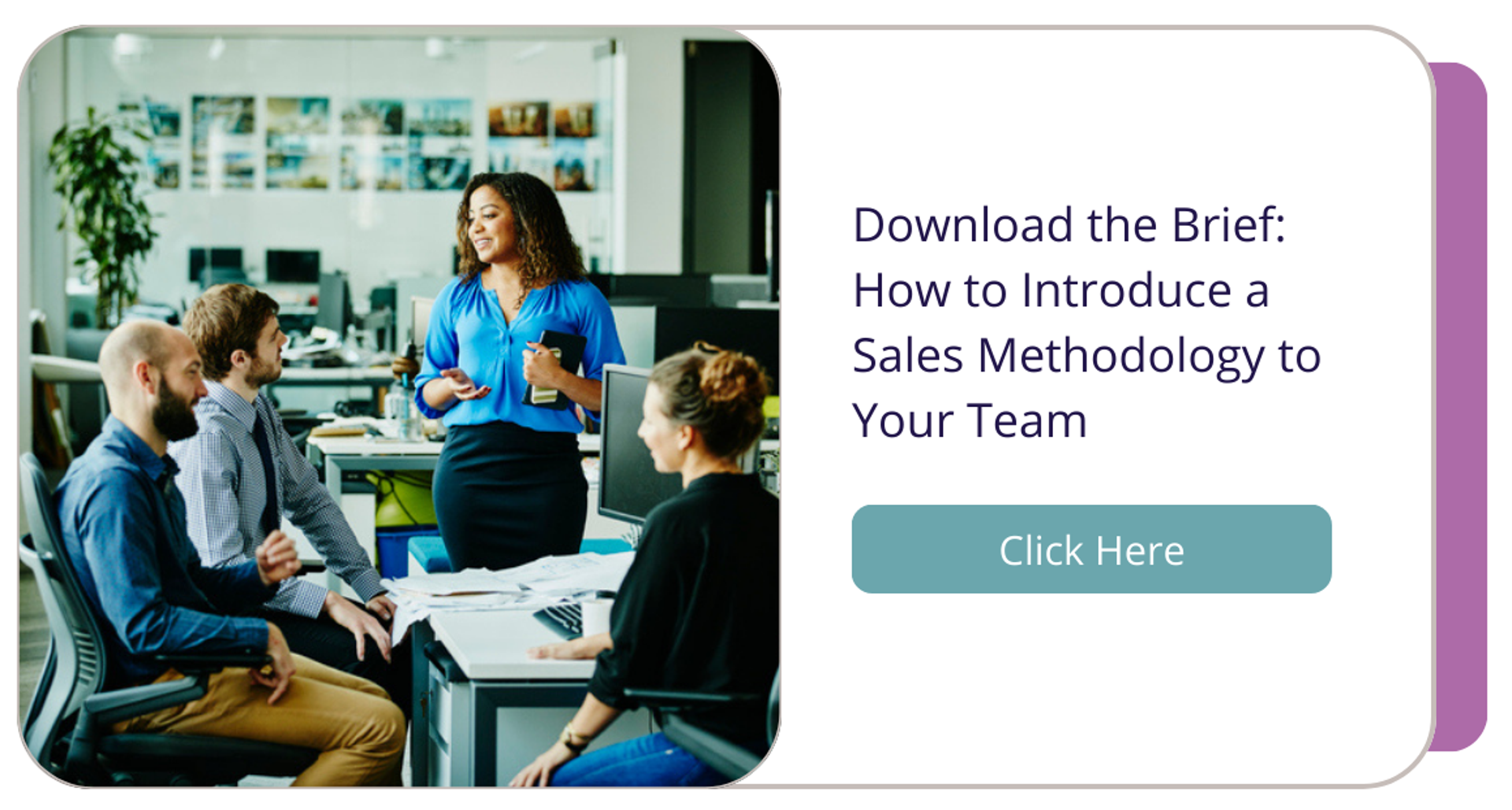 click here to download the brief: how to introduce a sales methodology to your team