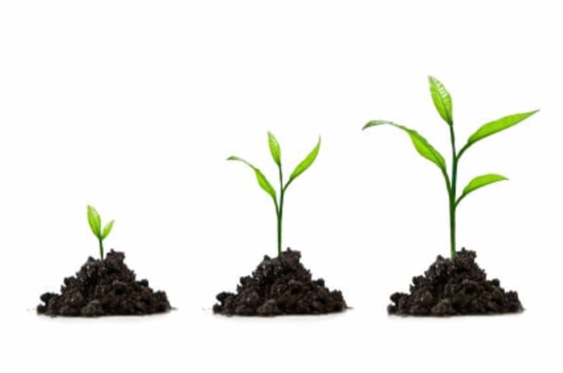 lead nurturing