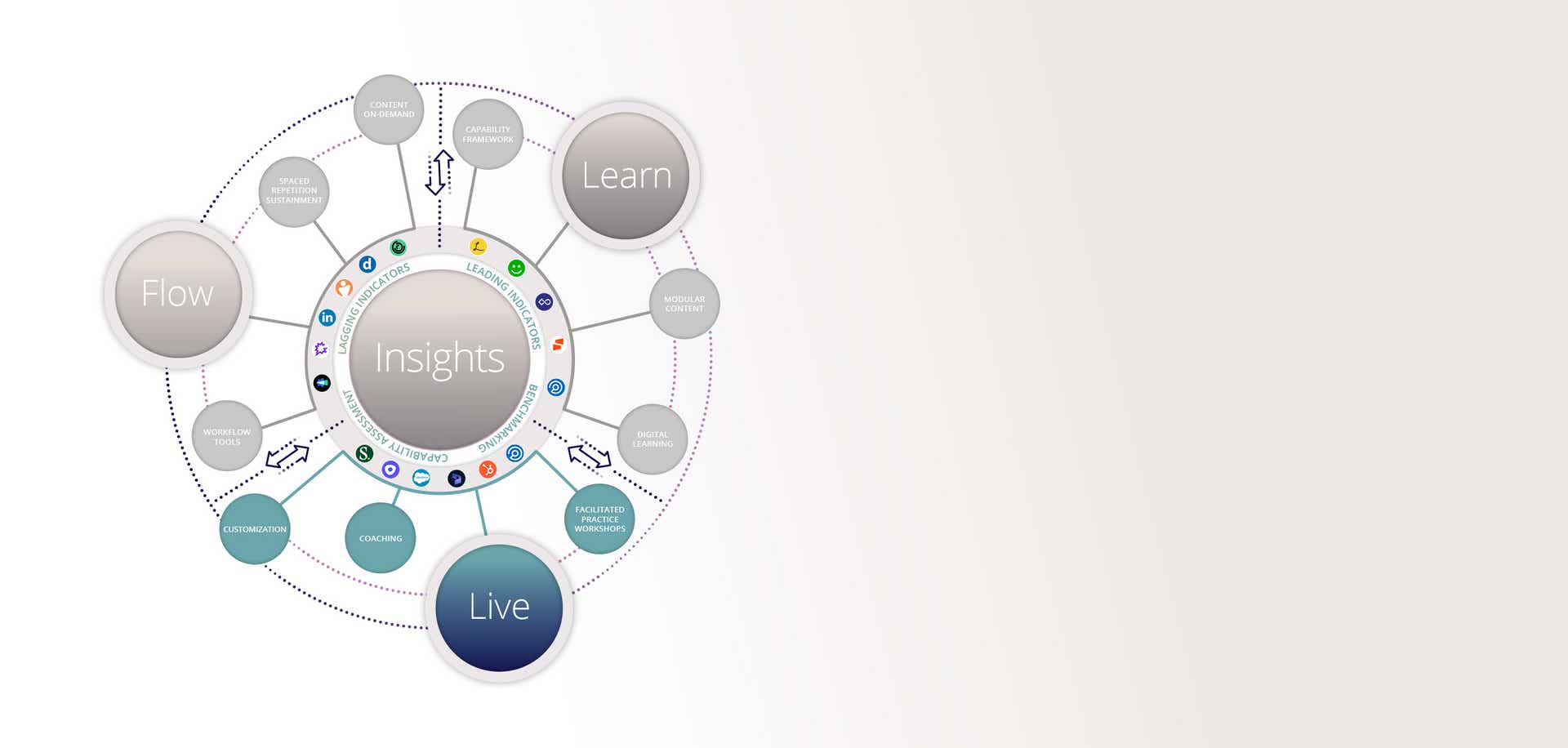 hero banner emphasizing the elements of the live accelerate sales performance system component