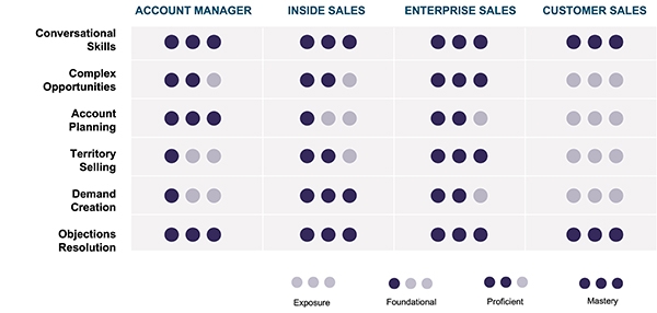 chart showing examples of role-based sales competency curriculum