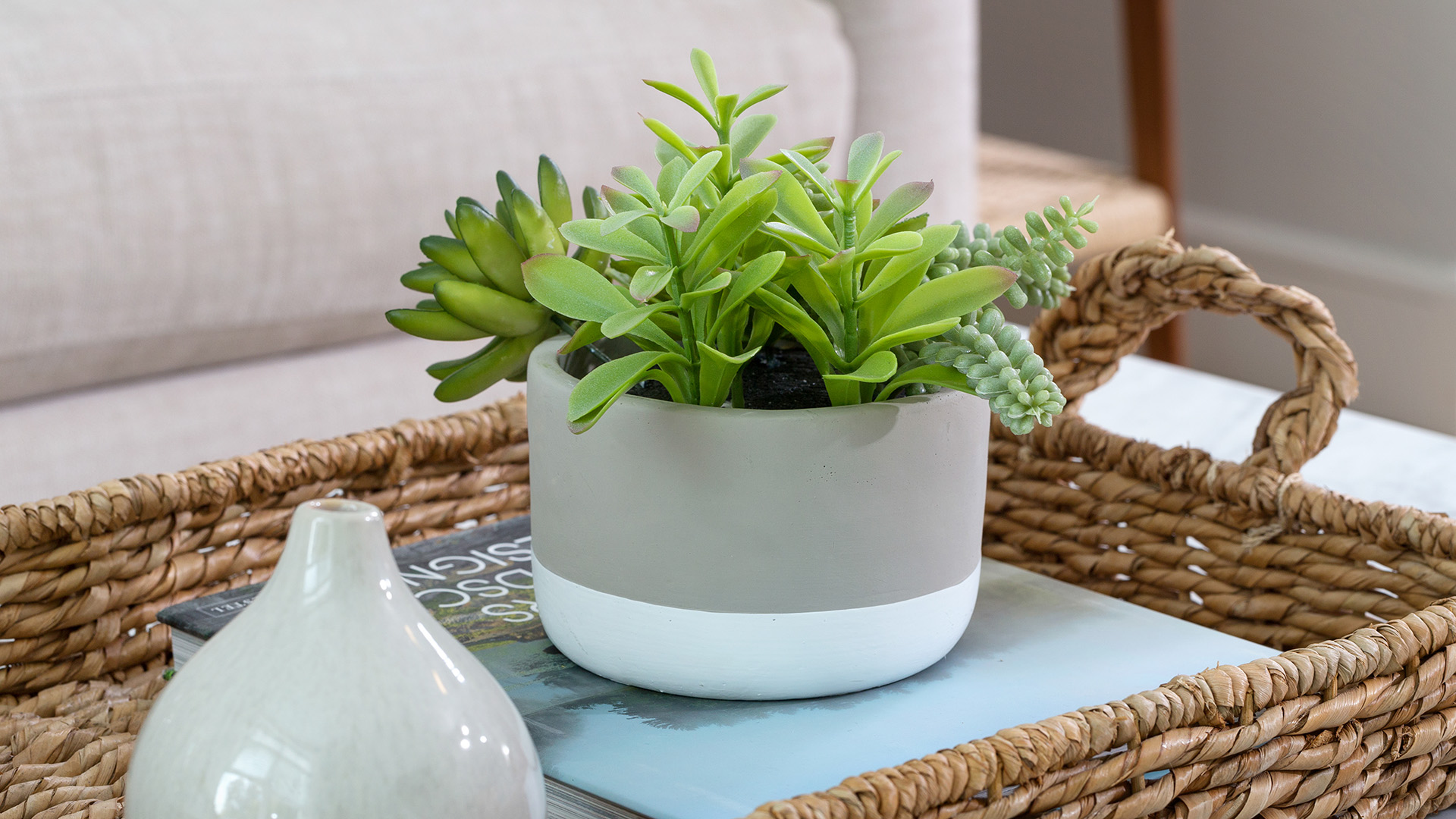 Coopers Corner Potted Plant