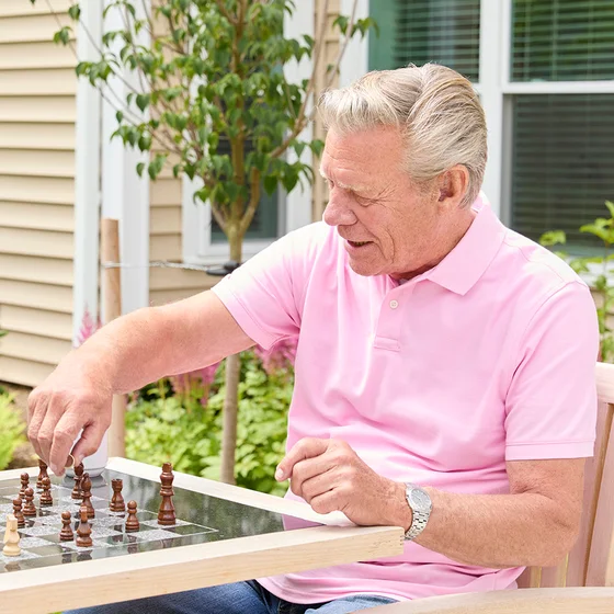 Backyard Chess Game