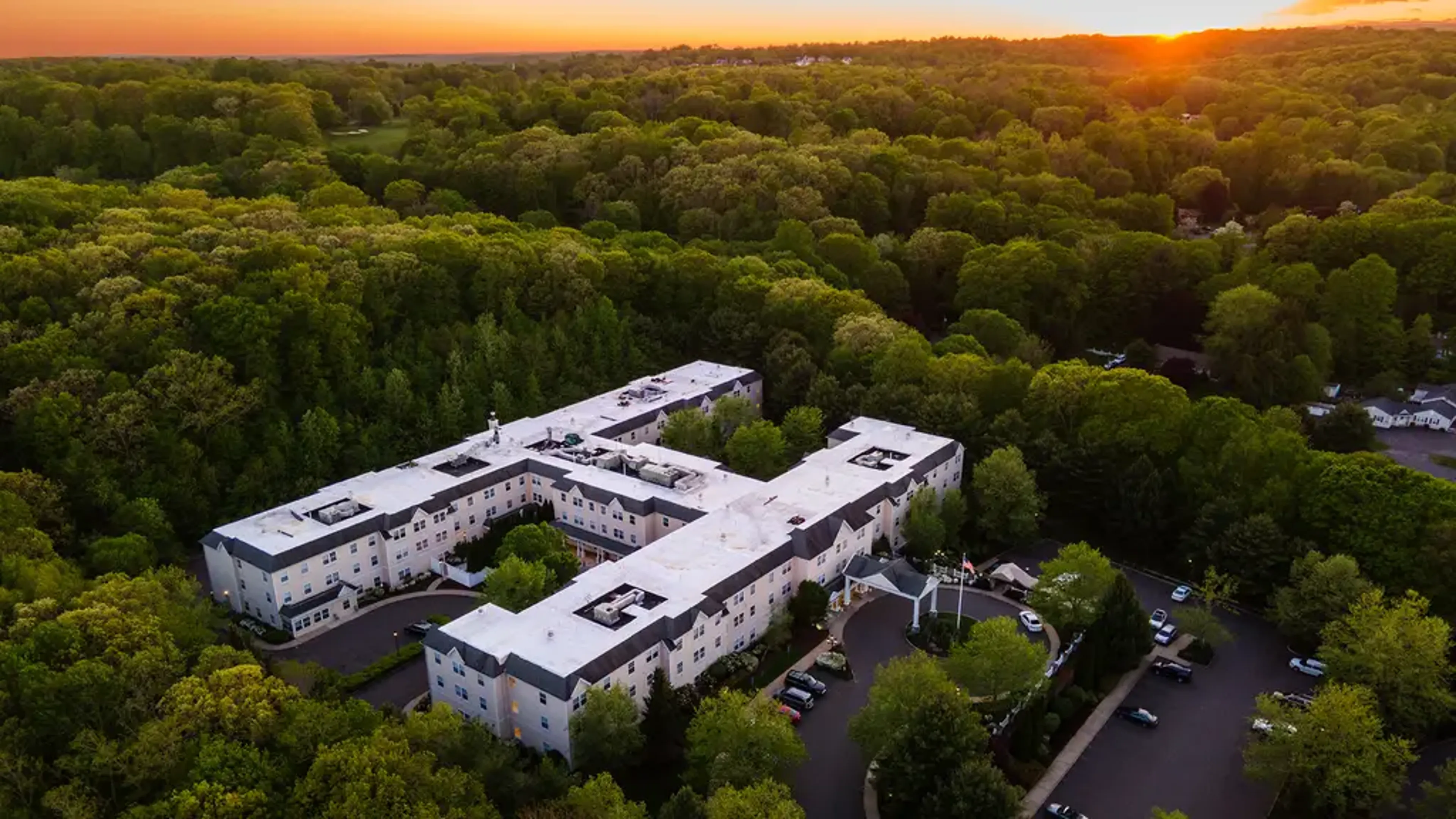 Aerial view of monarch community