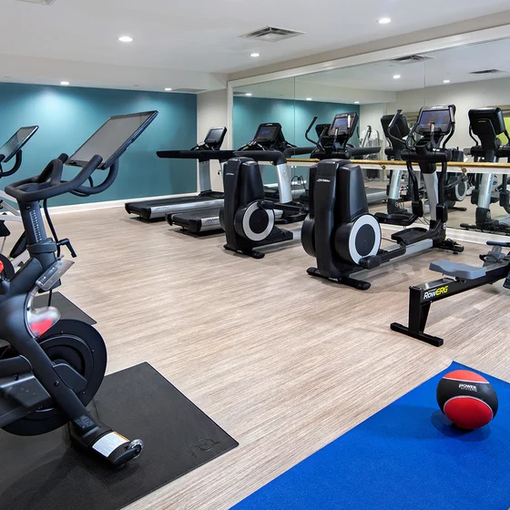 Bella Terra Gym