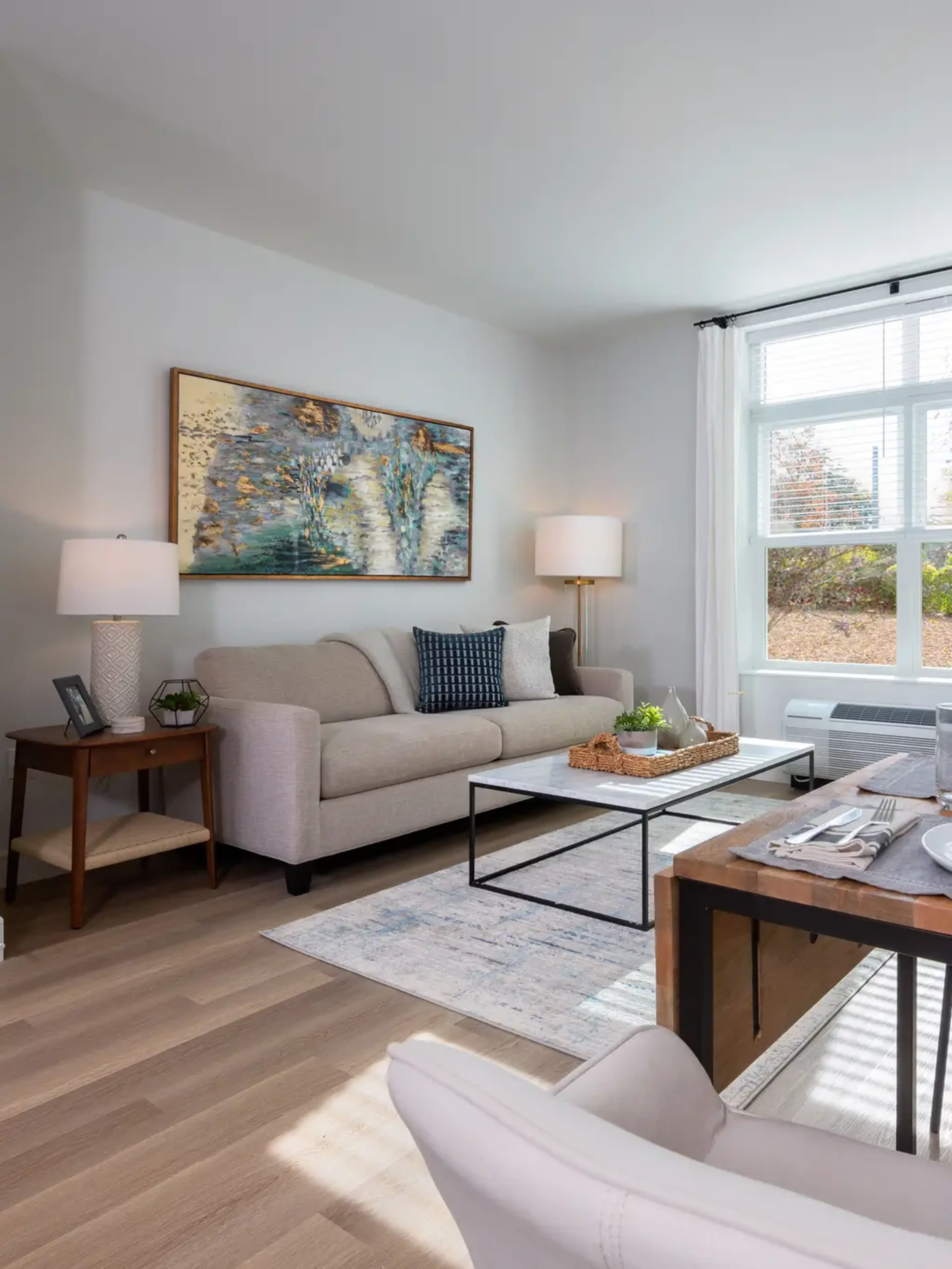 A furnished living room
