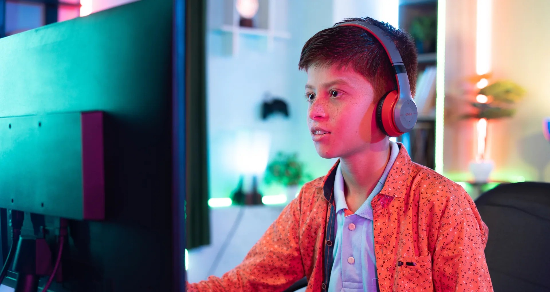 Live Online Einzeltraining Programmieren