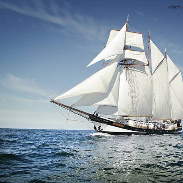 Segelschiff Swaensborgh