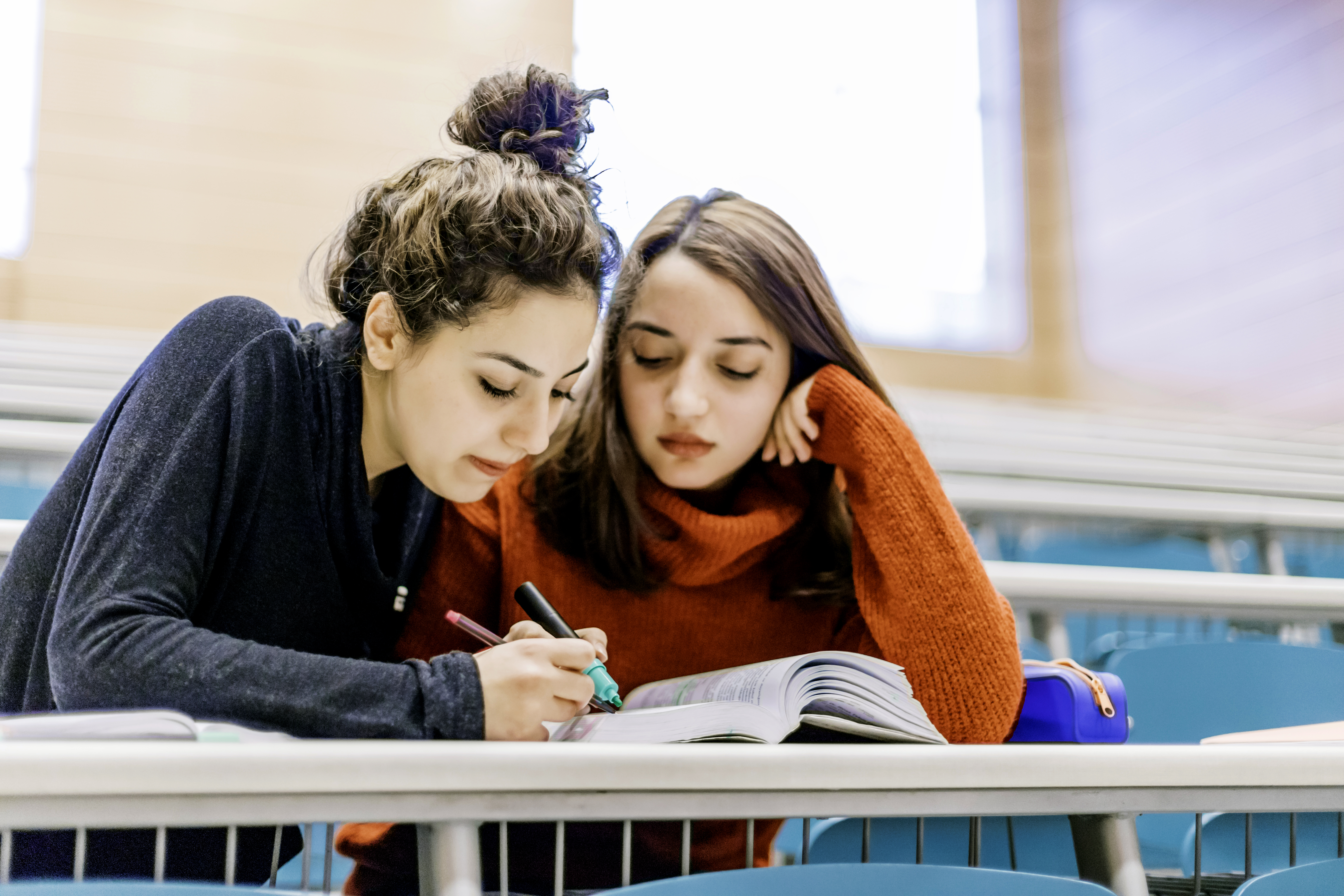 Berlitz language camps in Saxony: These advantages speak for themselves