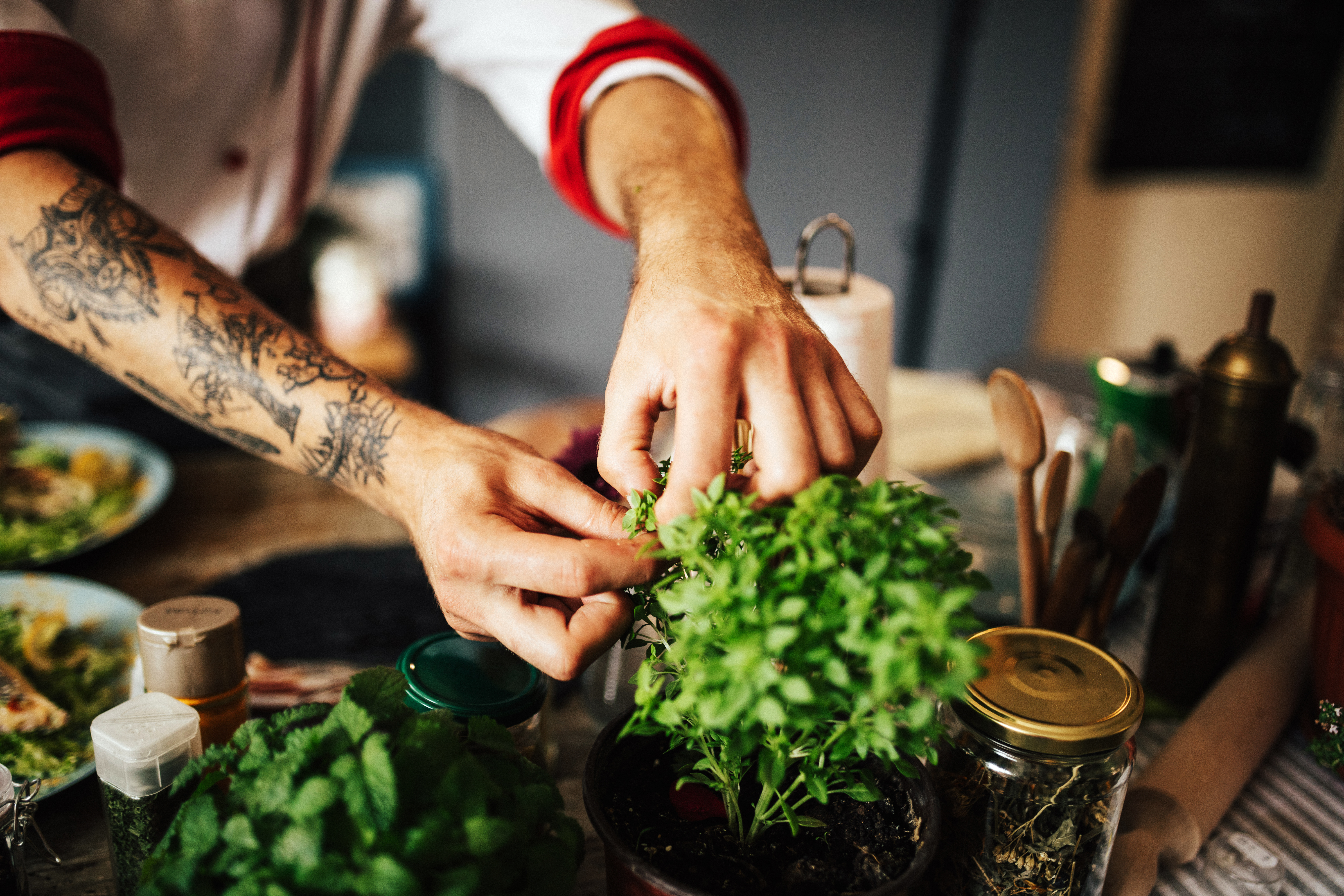 Servicekraft im Restaurant zupft Kräuter.