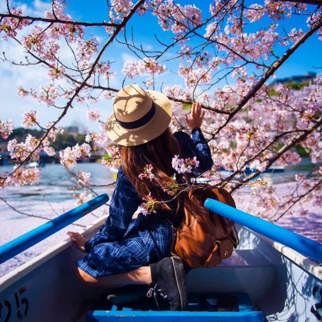 1 Card Title Highlight