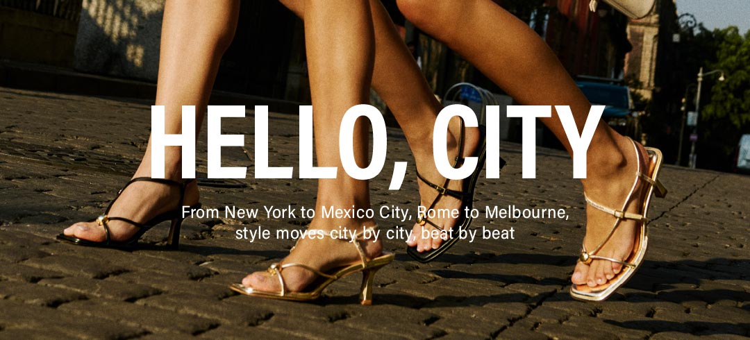 Hello City Cat Banner