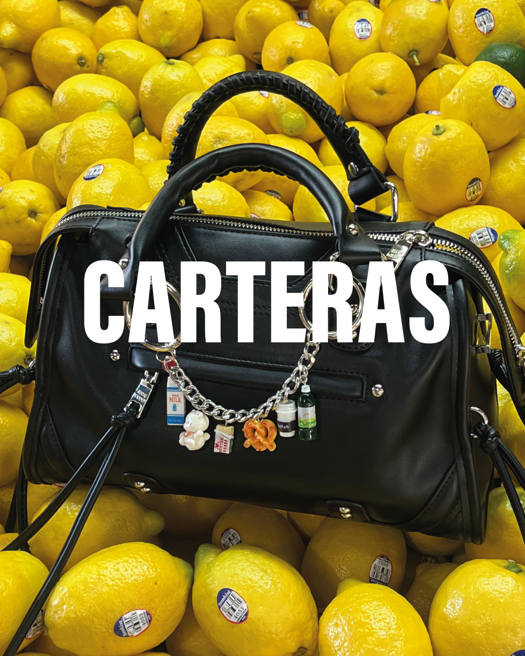Carteras