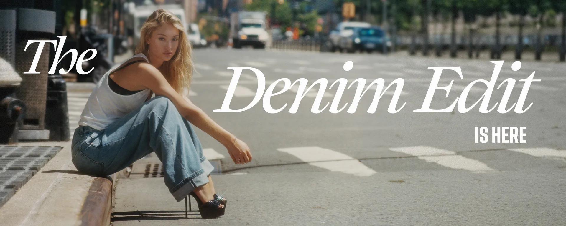 Desktop_LP_Denim-Edit_Hero.jpg