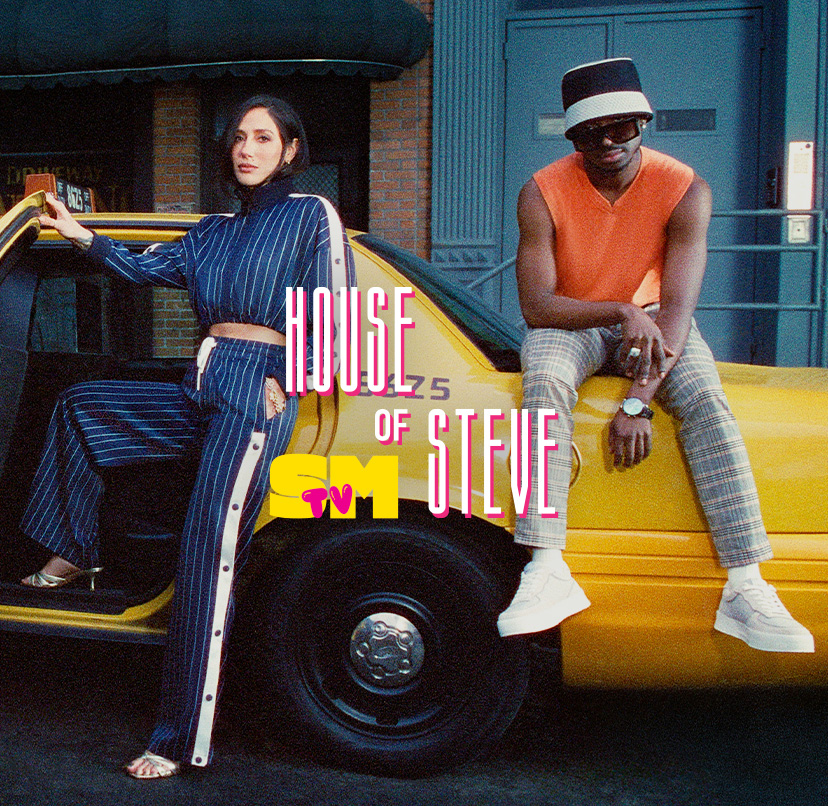 House of Steve