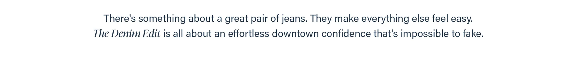 Desktop_LP_Denim Edit_Blurb.jpg
