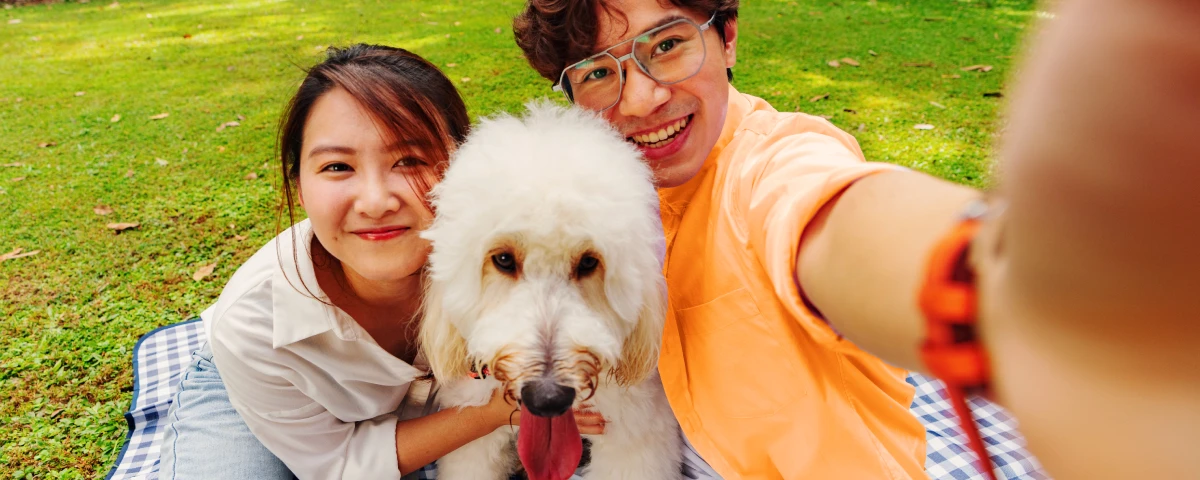 24小時獸醫診所