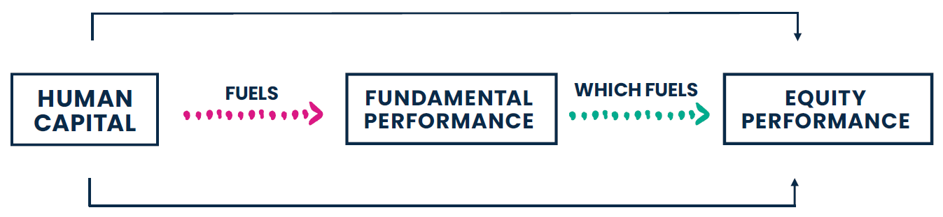 Human Capital graphic showing that Human Capital Fuels Fund Performance which Fuels Equity Performance.
