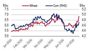 Black Sea Escalation has Lifted Wheat and Corn Over the Past Two Weeks