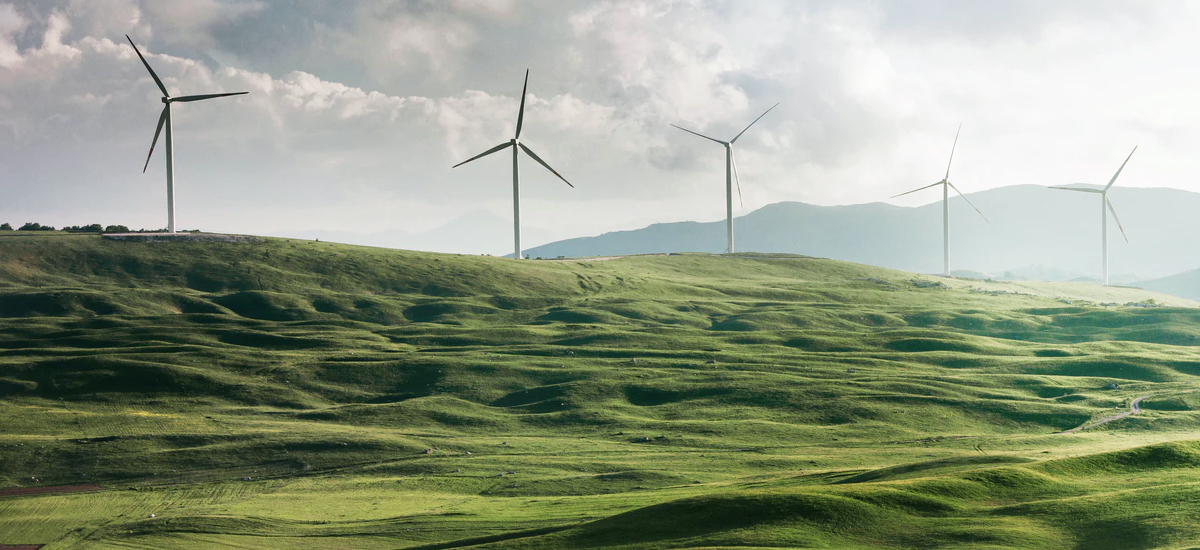 Make-Use-Return Consumption for Sustainability