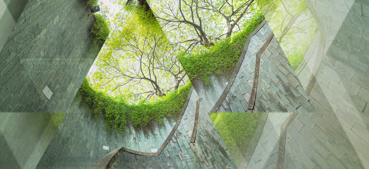 Blended Finance Has a Central Role To Play in Combating Climate Change