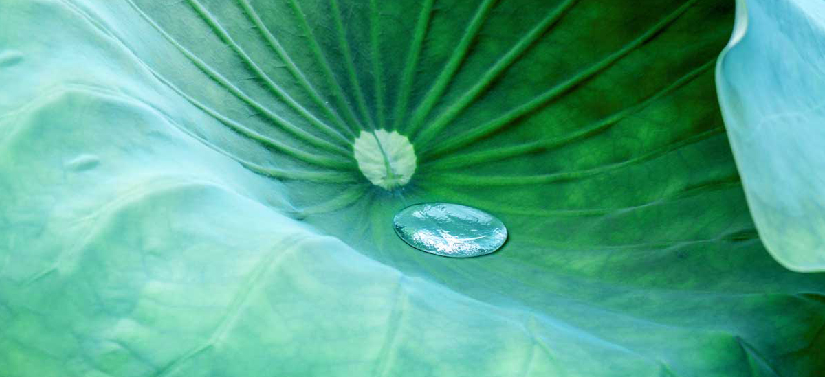 India’s Energy Transition: A Major Economic Opportunity