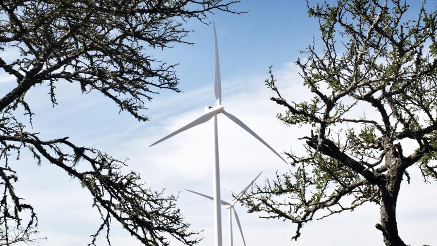 Wind turbines standing tall amidst a backdrop of trees