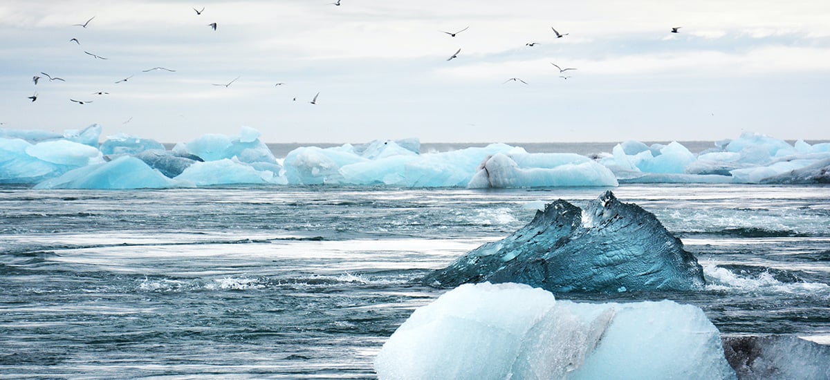 Enel’s Digital Integrated Reporting: A Model for the Future