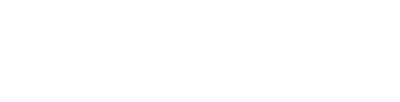 New York Life Investments logo