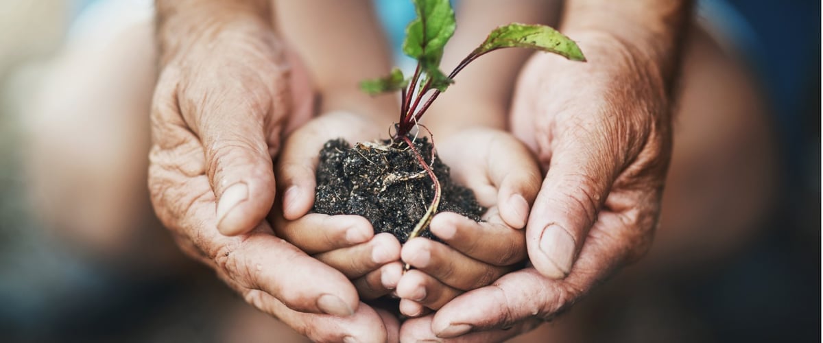 Customers Make it Clear: Time to Adopt Green Packaging