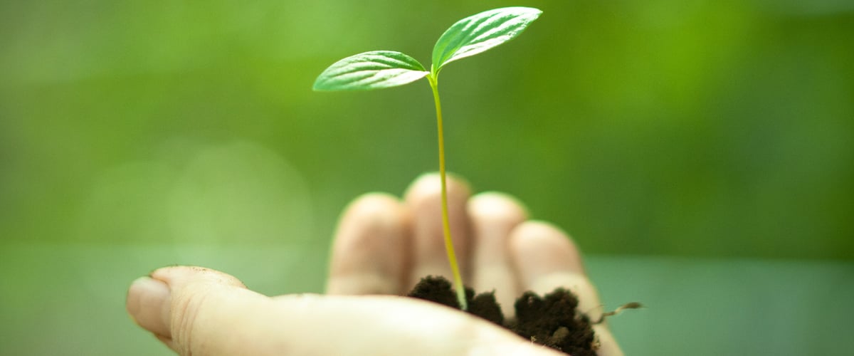 Five Misconceptions of Decarbonization, and Tips on How to Get Started