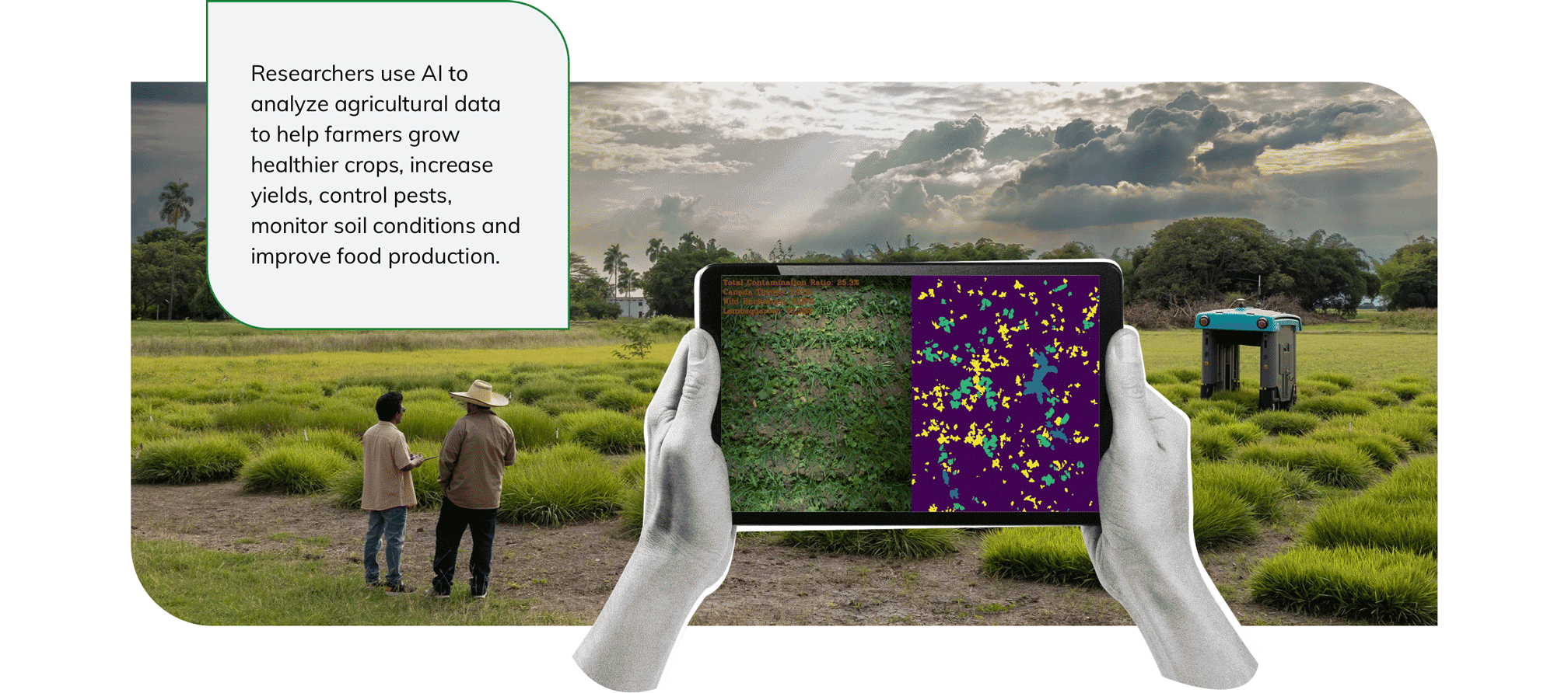 Researchers use AI to analyze agricultural data to help farmers grow healthier crops, increase yields, control pests, monitor soil conditions and improve food production.