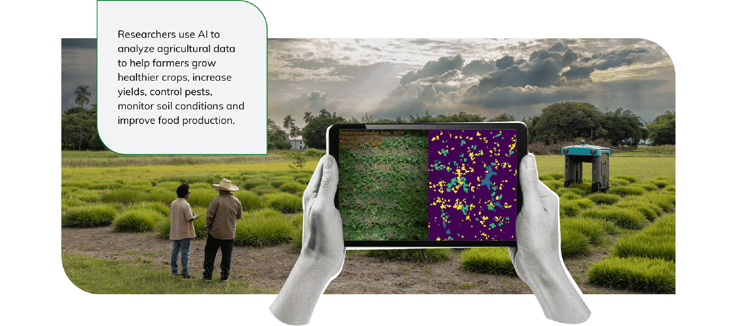Researchers use AI to analyze agricultural data to help farmers grow healthier crops, increase yields, control pests, monitor soil conditions and improve food production.