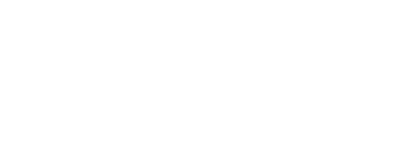 BCG CEO Agenda logo