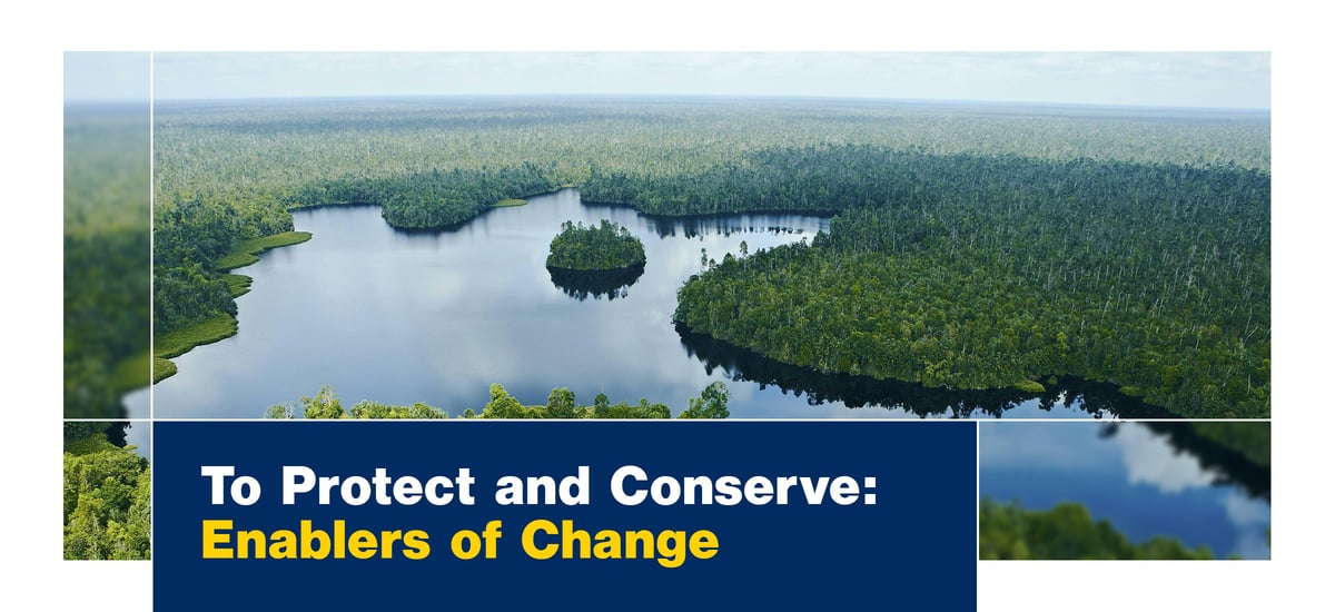 To Protect and Conserve: Enablers of Change