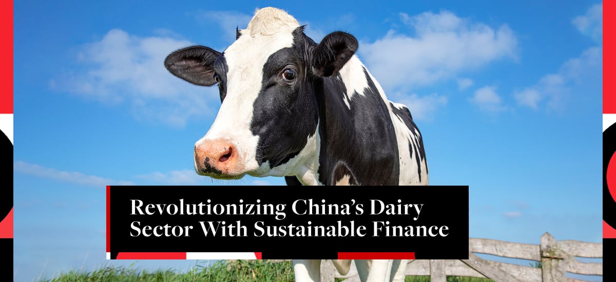 Revolutionizing China’s Dairy Sector With Sustainable Finance