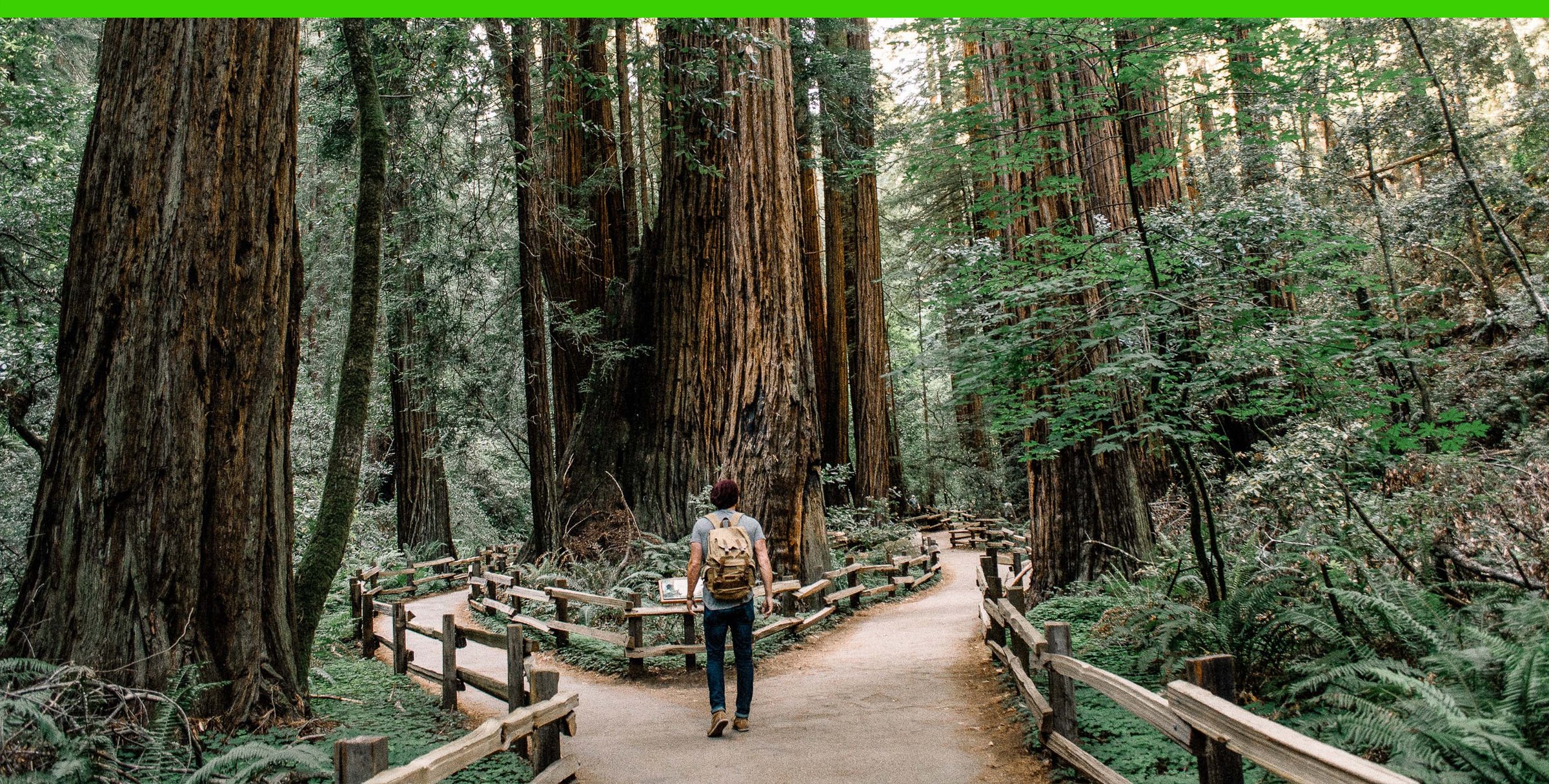 The Power of “What Ifs”