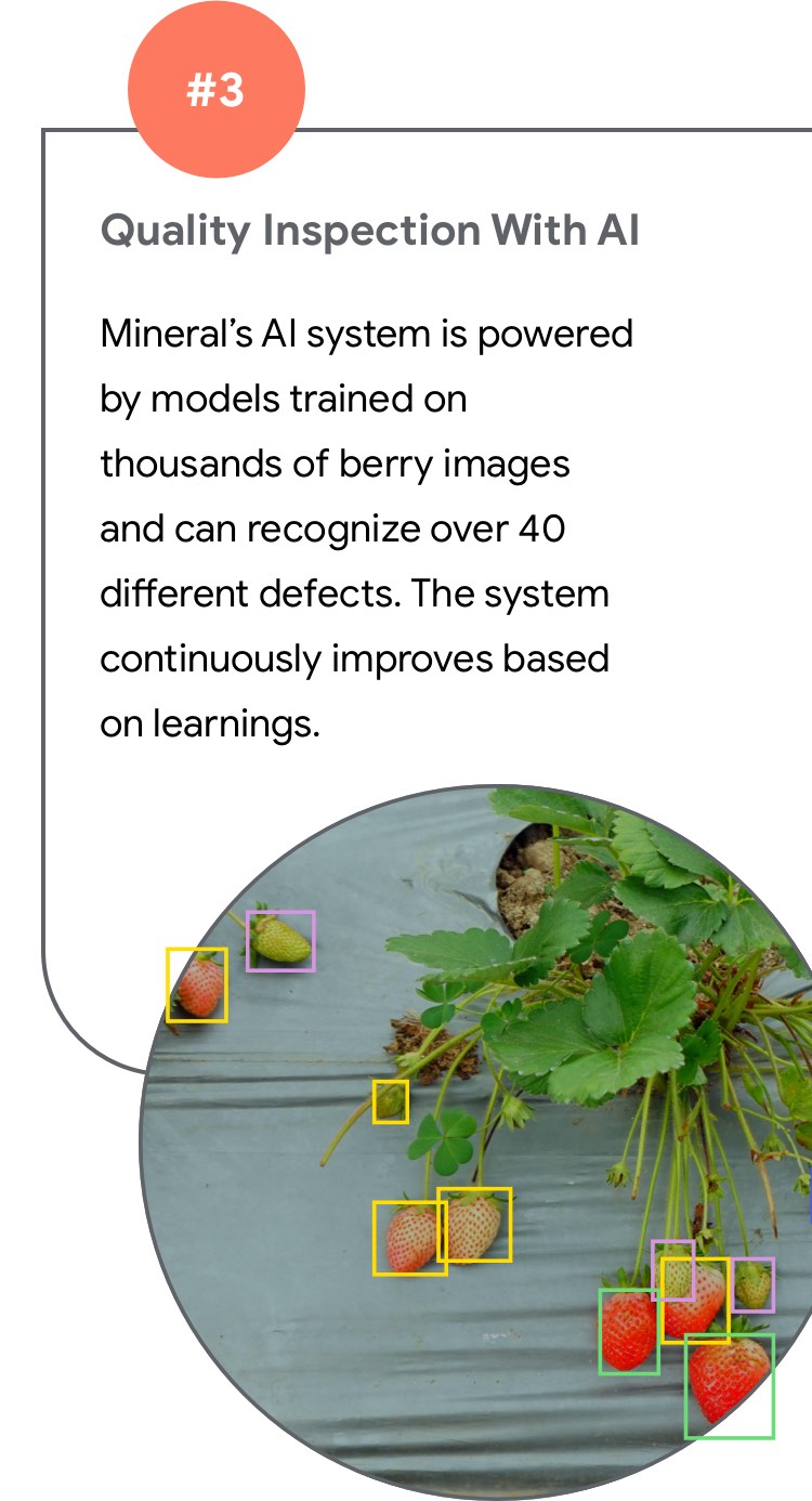 Quality Inspection With AI  Mineral’s AI system is powered by models trained on thousands of berry images and can recognize over 40 different defects. The system continuously improves based on learnings.