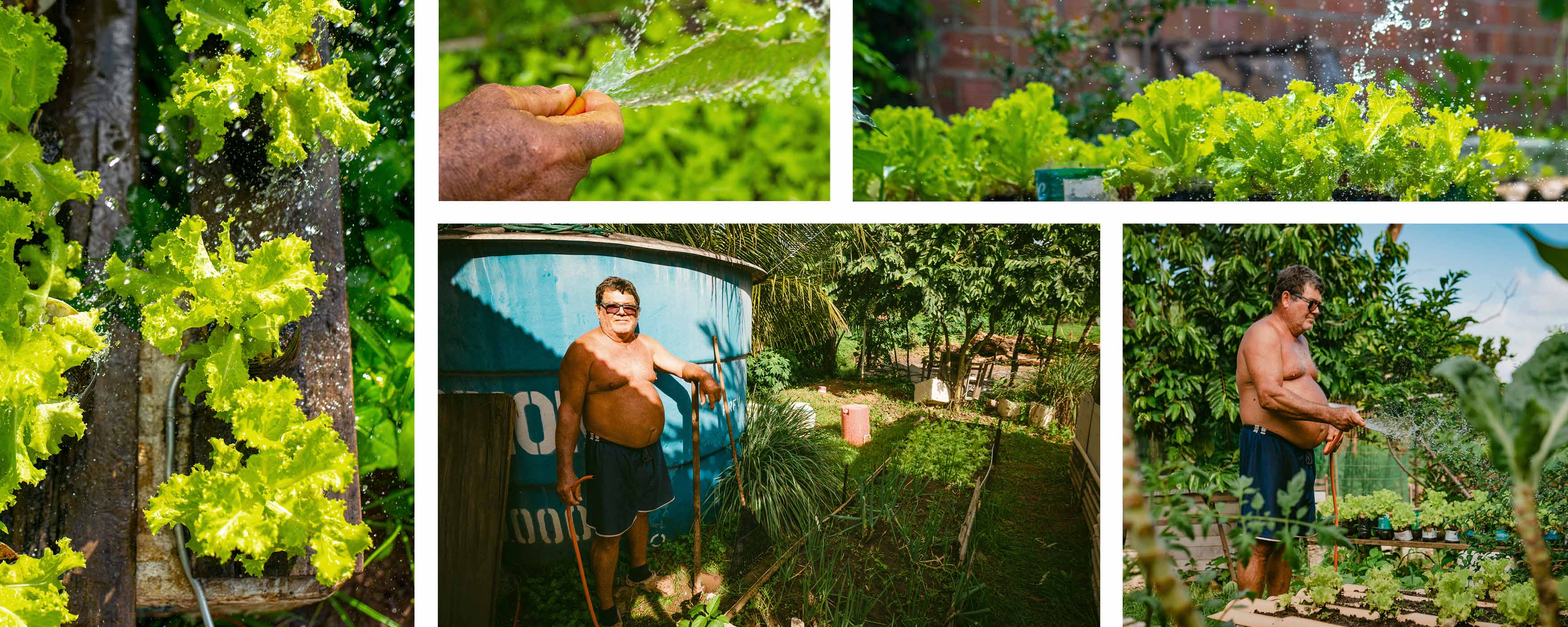 Islanders such as Antonio Jose da Silva (pictured) now have enough fresh water to grow their own vegetables.
