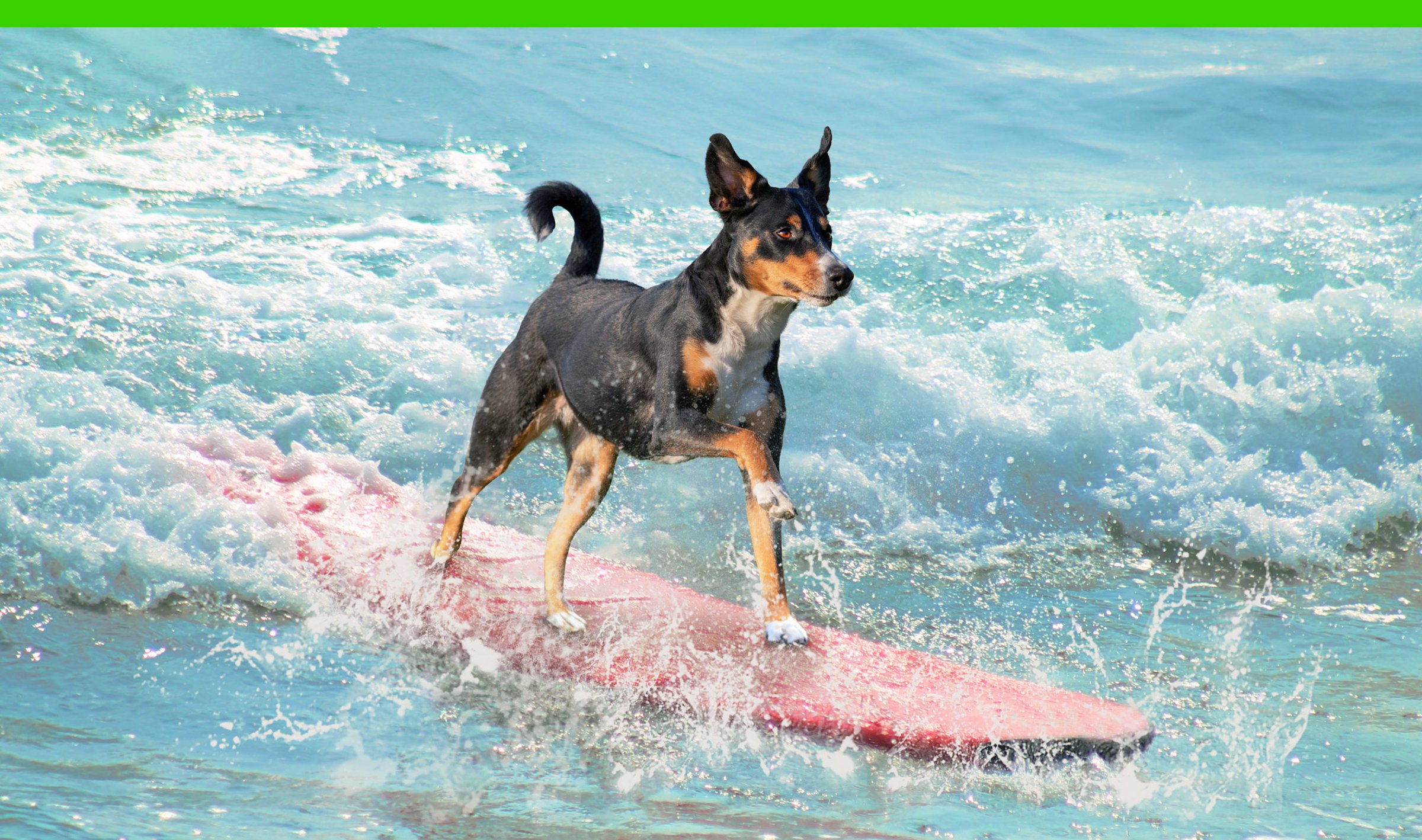 Surfing the Next Wave of ESG Investment